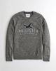 Image sur Sweatshirt Hollister