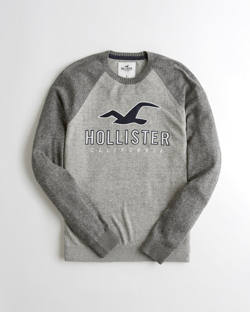 sweat shirt hollister homme